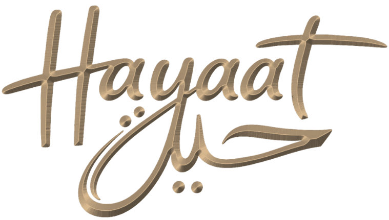 Hayaat Logo